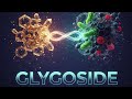 lec 1 glycosides ♡