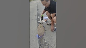 This Blue Liquid Fixes Potholes Without Cement! 🤯 #repair #diy #construction