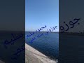 اغنية محمود سليم جوزوني بنت عمي