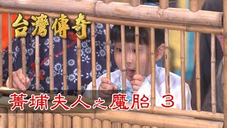 台灣傳奇 EP101 菁埔夫人之魔胎 (3)