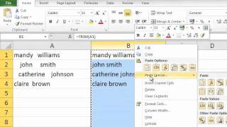 Trim and Case Functions Excel 2010