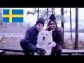 Update From Sweden | Sweden Vlog