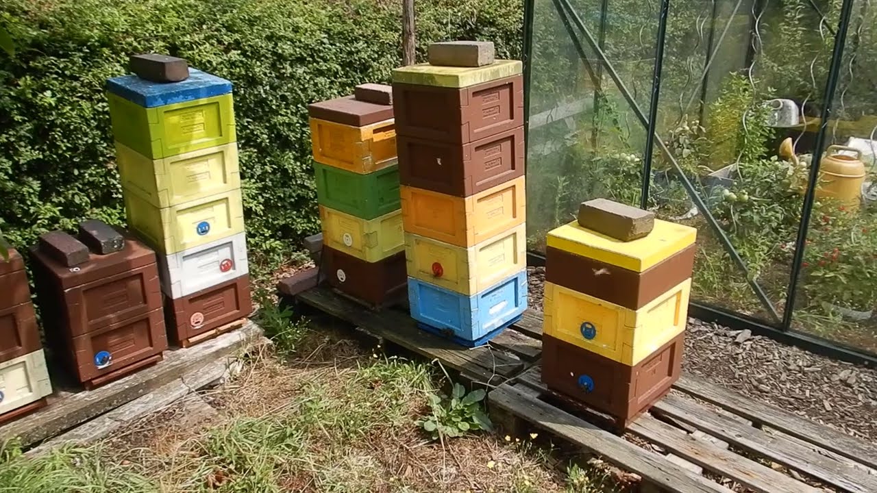 Het gebruik van MiniPlussen