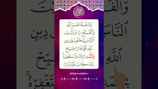 Mesmerising Recitation 🤍 Surah An-Nasr 🤍Egzon Ibrahimi #quran #egzonibrahimi #shorts