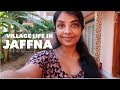 Village life in Jaffna Sri Lanka VLOG 3 | Nivii06