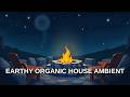 Chill Vibes The Ultimate Organic House Session