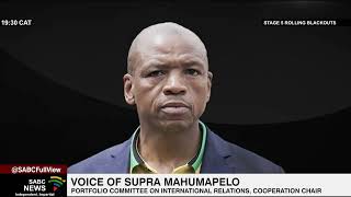 Legal experts see some problems in DA's bid for SA to arrest Putin