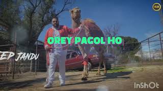 Arey Pagol Hoye Jabo Ami  Deep Jandu Ft Bohemia