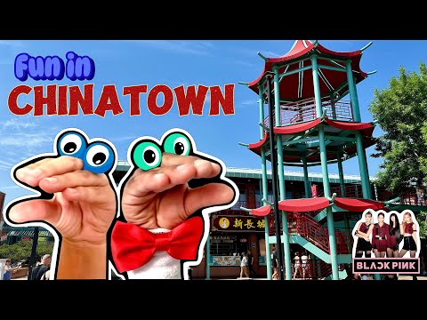 PUPPIES AND COOKIES GO TO CHINATOWN!