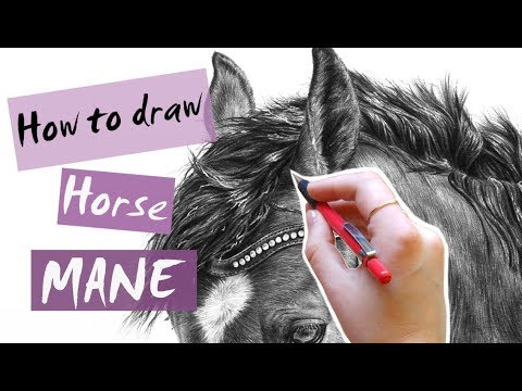 how to draw realistic horse mane How to draw and shade realistic horse mane  Leontine van vliet