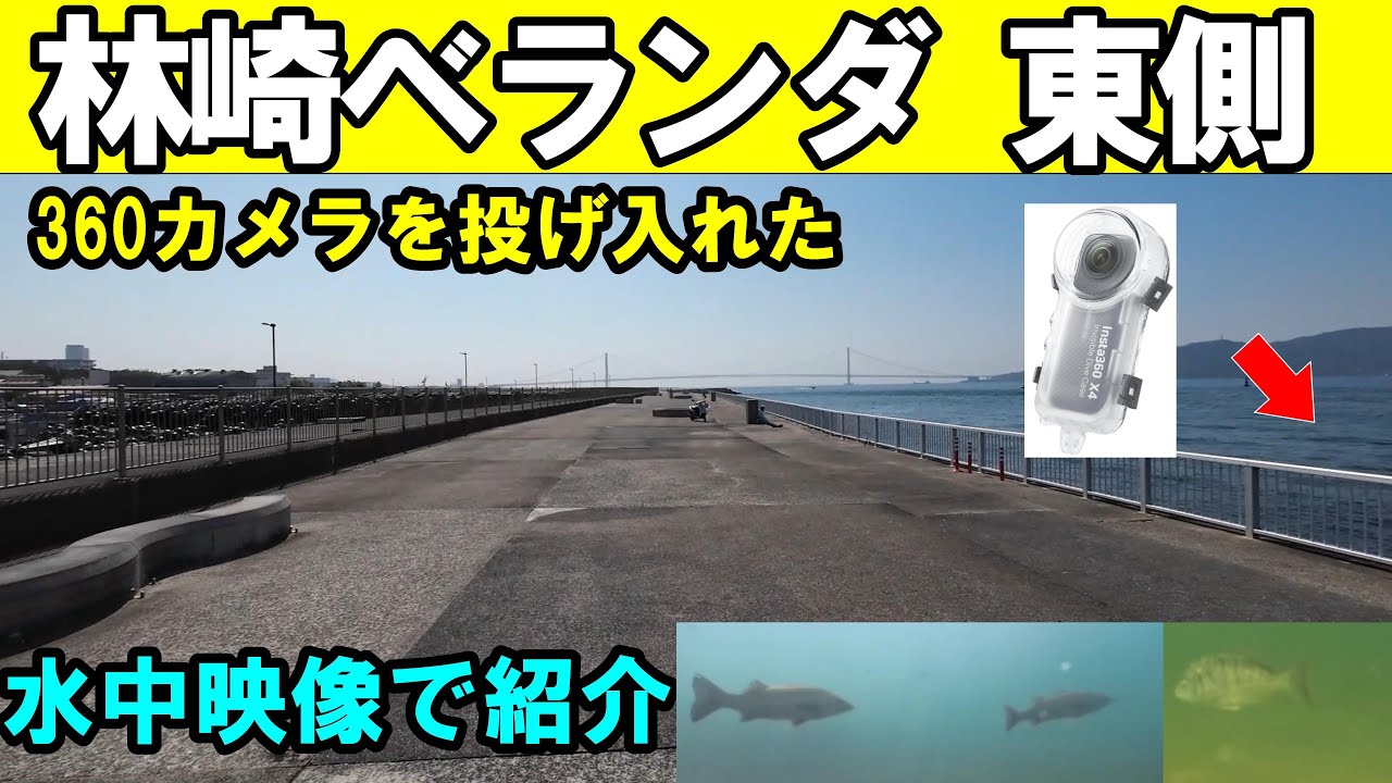 林崎漁港ベランダの水中映像でシーバスをゲット！意外と大物が狙える釣りポイント