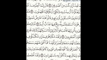 سورة الأحقاف 21-28 (٥٠٥)     Sheikh Anas AlHibri