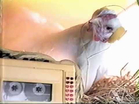 Duracell Chickens Commercial 1990