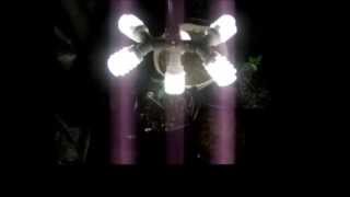Our CFL Lighting for Autos and   The Money Shot 4 for 4