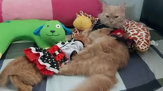 Ibu Jaamine Sedang Bergaya Guyssss ,Netekin Sambil Actions