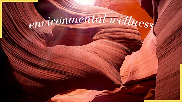 environmental wellnesz and heartfulness meditation