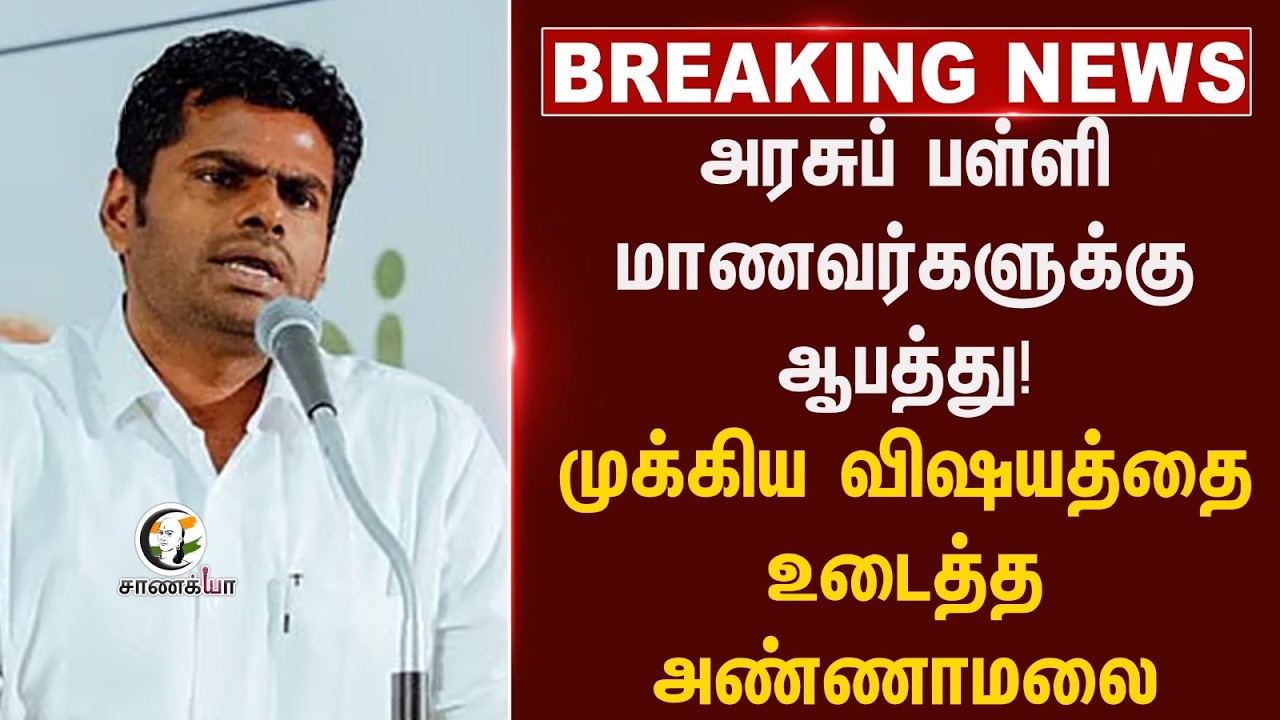 #breakingnews : அரசுப் பள்ளி மாணவர்களுக்கு ஆபத்து!முக்கிய விஷயத்தை உடைத்த Annamalai