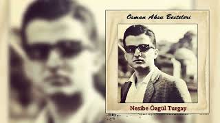 Nesibe Özgül Turgay - Çevre şarkısı [] Resimi