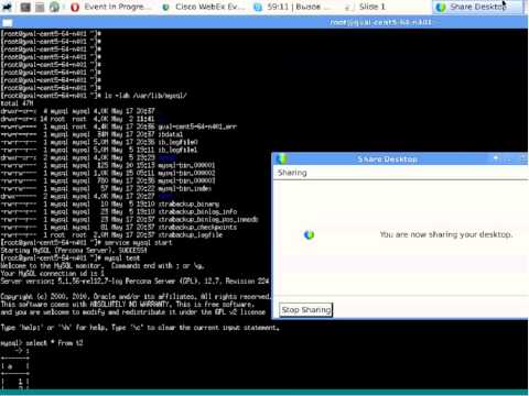 Creating Backups with