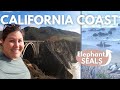 Surprises on the CALIFORNIA COAST! Highway 1- Phil's Fish Market, Bixby Bridge, AND Elephant Seals!