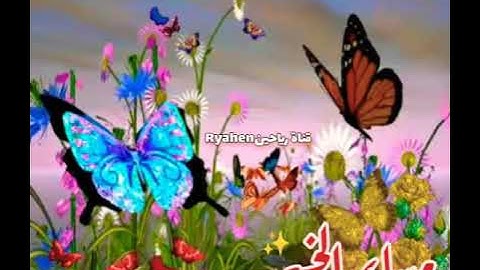 حالات واتس اب دينية مسائية😊📚أذكار المساء🤲مساء الخير⭐💕مساء الورد🌹🌸مساء السعادة😊🤍مساء التفاؤل🤗💐