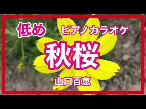 【低め】秋桜 山口百恵 昭和歌謡 ピアノ伴奏 秋の歌