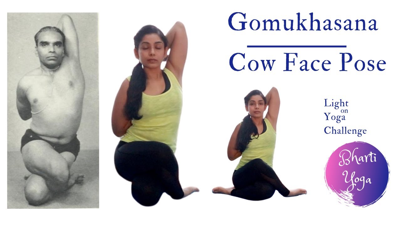 Cow face pose gomukhasana Royalty Free Vector Image