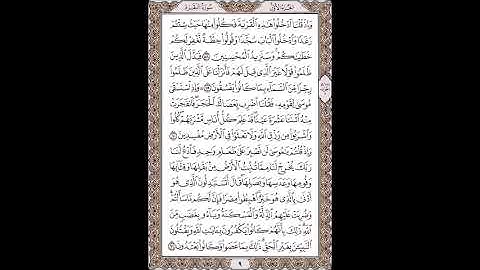القرآن الكريم بصوت الشيخ سعد الغامدى صفحات صفحة رقم ( 9 )