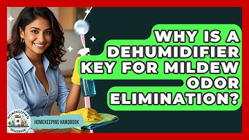 Why Is A Dehumidifier Key For Mildew Odor Elimination? - Homekeeping Handbook