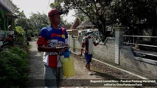 Download Lagu Pasukan pantang merendah - begundal lowok waru by peternak kambing MP3