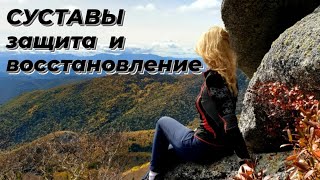 СУСТАВЫ - ПРОГРАММА ДЛЯ ВОССТАНОВЛЕНИЯ #суставыболят #siberianwellness