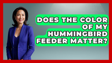 Does The Color Of My Hummingbird Feeder Matter? - Bird Watching Diaries