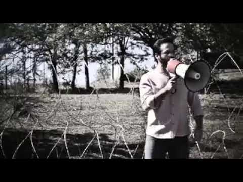 პლაგიატი ვაშაძე