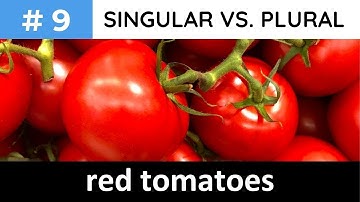Mastering Singular vs  Plural with Colors   Learn English Lesson 9