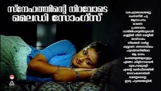 Evergreen Malayalam Evergreen Hits |കേൾക്കാൻ കൊതിക്കുന്ന പ്രണയഗാനങ്ങൾK J Yesudas | K S Chithra