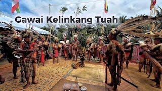 3 HARI 3 MALAM GAWAI KELINKANG BULU MEDAN KETUAH PANGGAU BERITA THOMAS LOBO //
