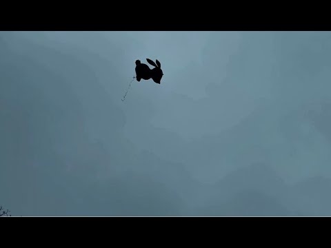 thumbnail img16x9
