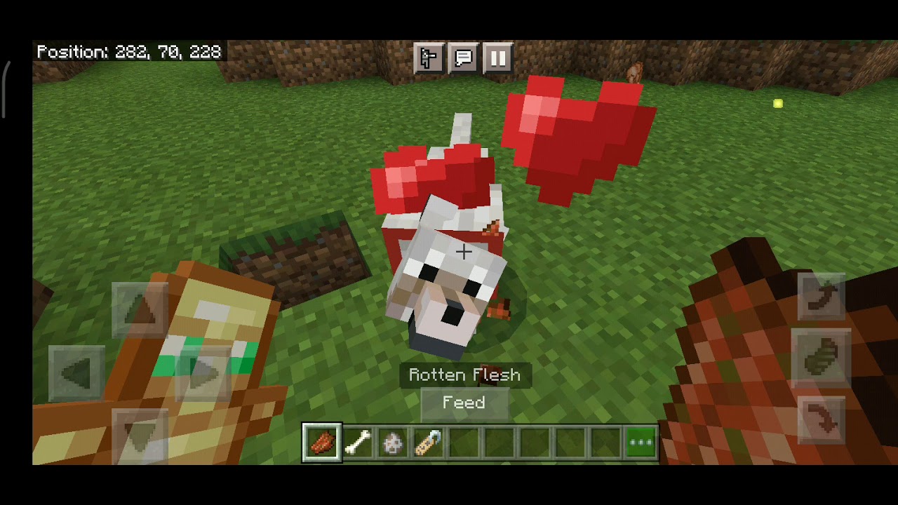 I tame dogs and feed rotten flesh - YouTube