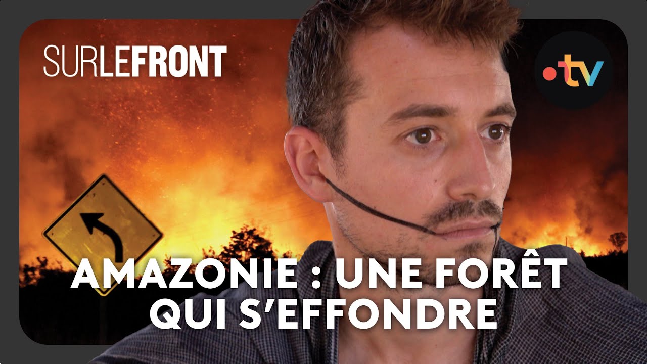 L'Amazonie en flammes : animaux brûlés, villages menacés, un peuple en lutte – Sur le front [4K]
