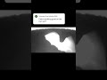 🦇 Woke up to this creepy one on my SEHMUA trail cam😳🫣 #trailcam #bats #SEHMUA