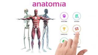 Aplicación 360º de anatomía de Deusto Salud screenshot 4