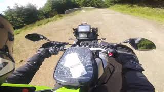 off road  Devils bit style