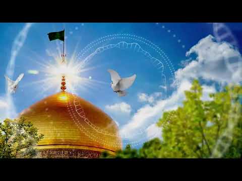 مولاي مولاي ايا الرضا مولاي حبك وانا زغيرون اول حب سكن بيه حسن سلامات