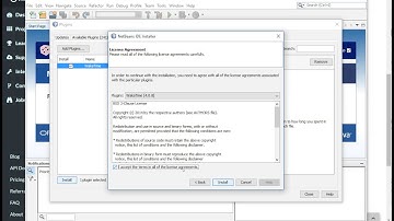 Installing WakaTime for Netbeans on Windows