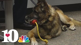 Two K9s with Jefferson County Sherriff's Office retire