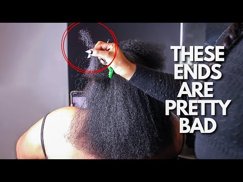 A Year After A No Oils No Butters Stylist Tried to Ruin My Type 4 Natural Hair | Salon Visit + Trim