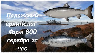 Русская рыбалка 4 Ладожский Архипелаг. Фарм 800 монет за час