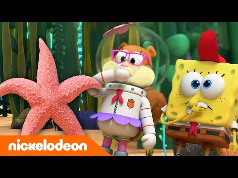 Камп Корал | Губка Боб в нудистском лагере! | Nickelodeon Россия