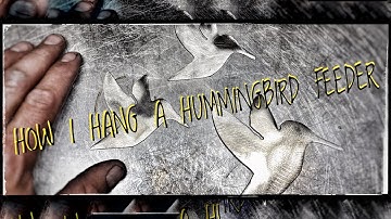 “HOW I HANG A HUMMINGBIRD “ FEEDER