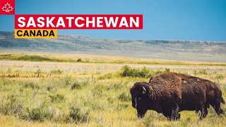 Canada Road Trip: Best Things To Do In Saskatchewan